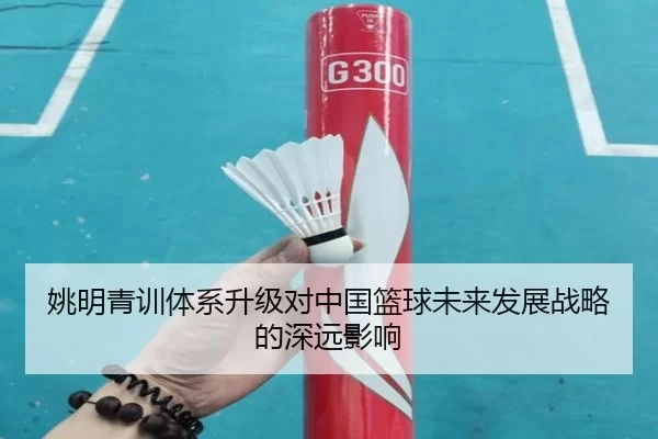 姚明青训体系升级对中国篮球未来发展战略的深远影响
