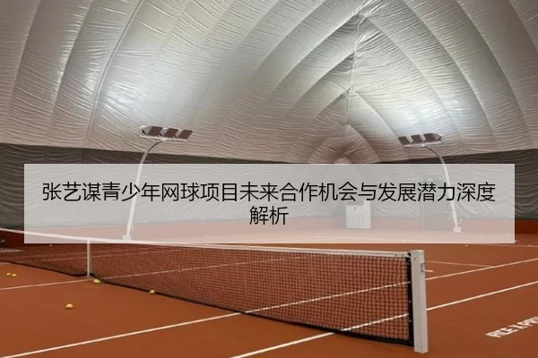 张艺谋青少年网球项目未来合作机会与发展潜力深度解析